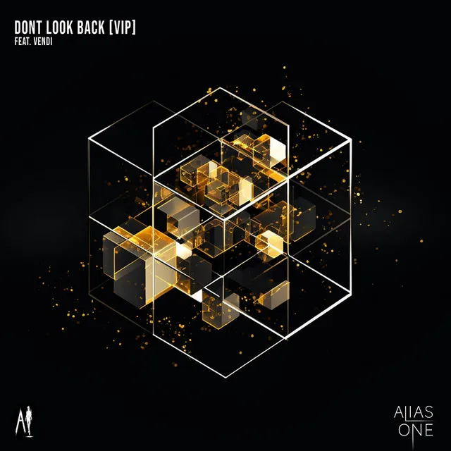 Don't Look Back [VIP]