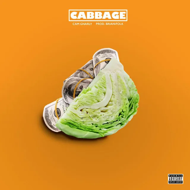 Cabbage