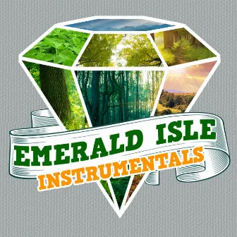 Emerald Isle Instrumentals by Irish Music