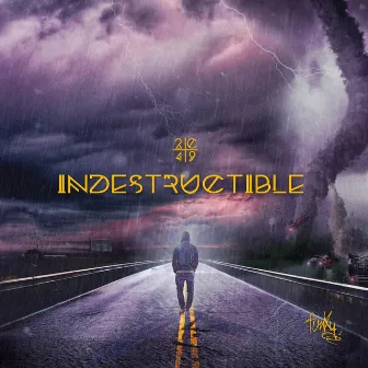 Indestructible by Funky