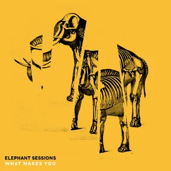 What Makes You by Elephant Sessions