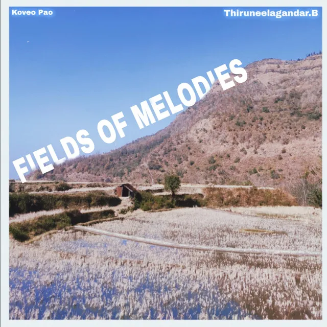 Fields of Melodies