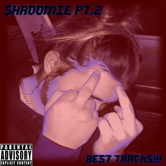 $hroomie PT.2 Best Tracks by $hroomie