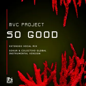 So Good by MVC Project