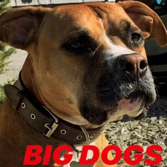 Big Dogs by Audible Intellect