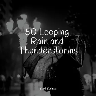 50 Looping Rain and Thunderstorms by Egyptian Meditation Temple