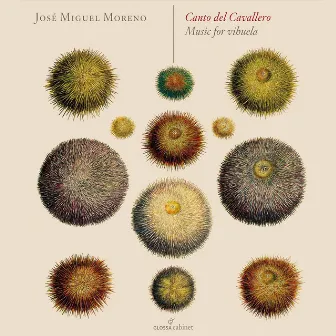 Canto del cavallero: Music for Vihuela by José Miguel Moreno