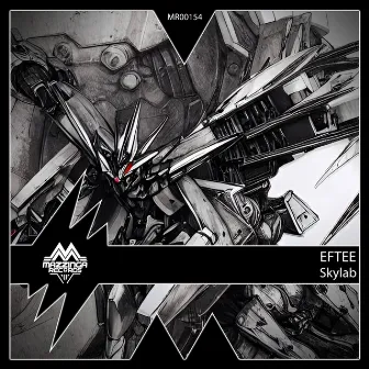 Skylab by EFTEE