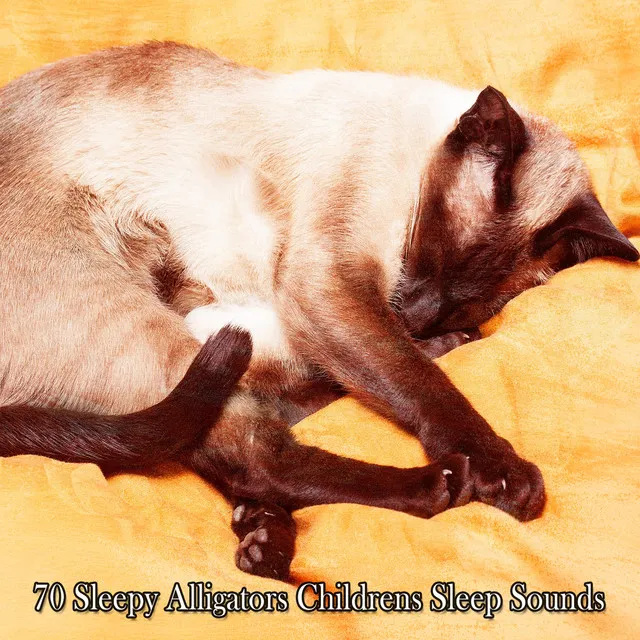 70 Sleepy Alligators Childrens Sleep Sounds