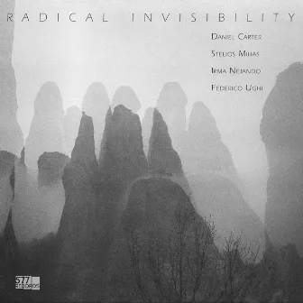 Radical Invisibility by Daniel Carter