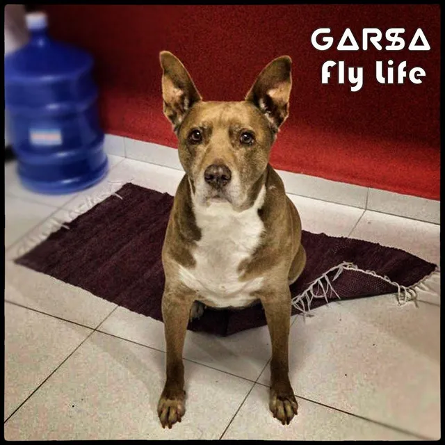 Fly Life (DJ Anthony Garcia Remix)