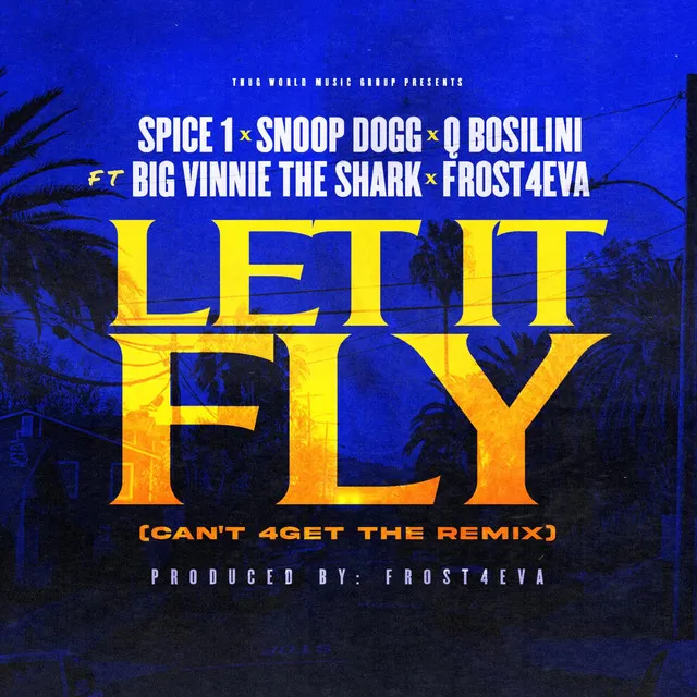 Let It Fly (Can't 4Get The Remix) (feat. Big Vinnie The Shark & Frost4eva) - Radio Edit