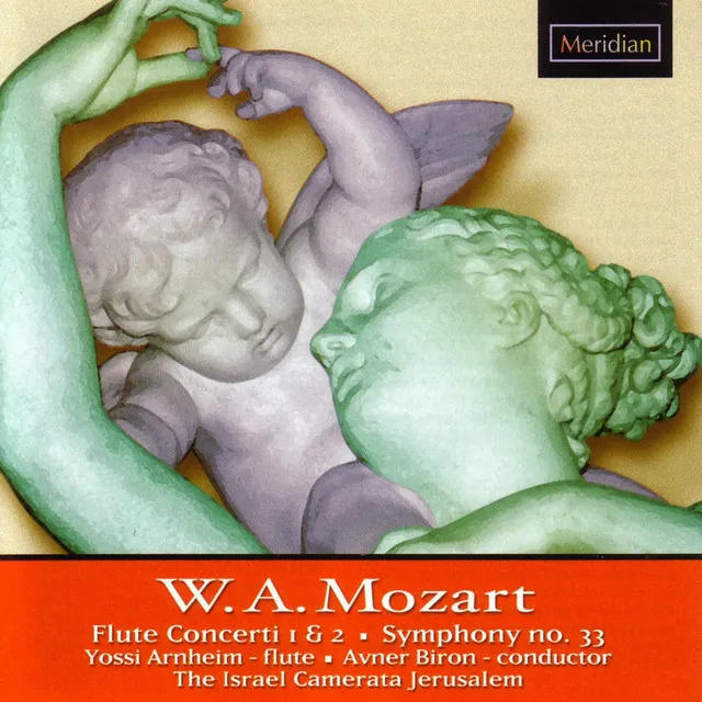 Flute Concerto in G Major, K.313: I. Allegro maestoso