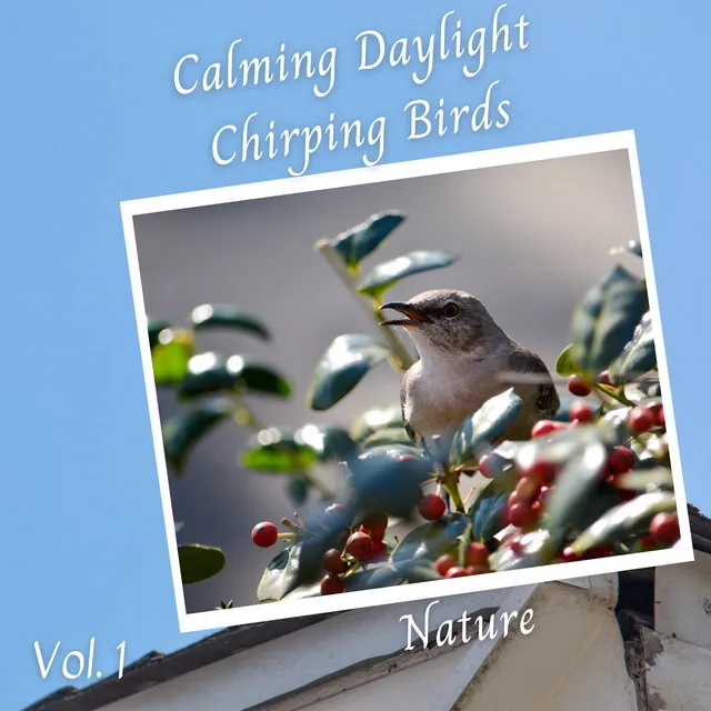 Nature: Calming Daylight Chirping Birds Vol. 1