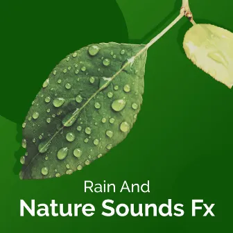 ! ! ! Rain And Nature Sounds Fx ! ! ! by The Outdoor Library