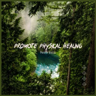 Promote Physical Healing by Everlight