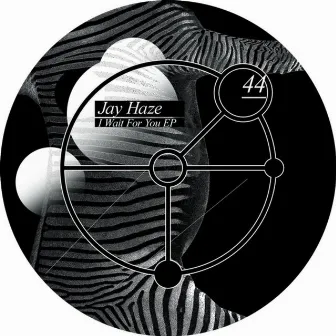 I Wait For You feat. Laila Tov, Ricardo Villalobos by Jay Haze