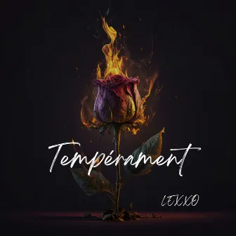 Tempérament by lexxo