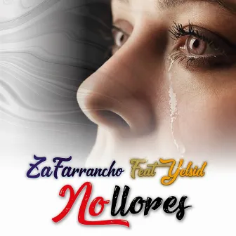 No Llores by Zafarrancho