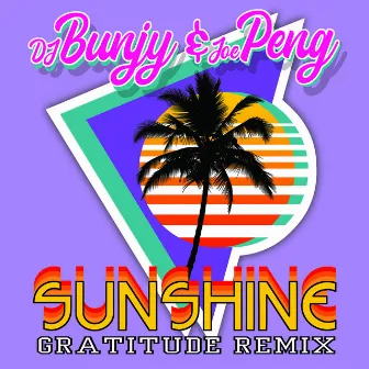 Sunshine (Gratitude Remix) by Joe Peng