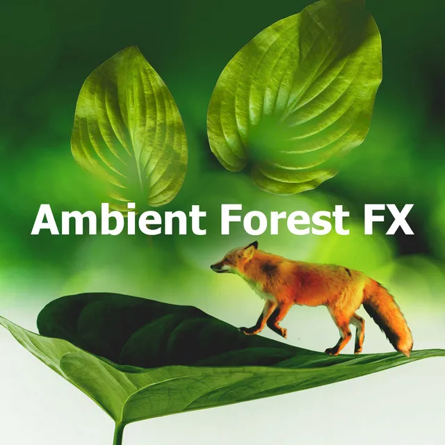 Ambient Forest FX