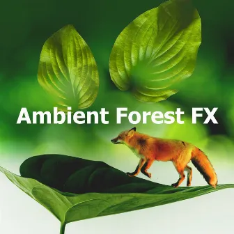 Ambient Forest FX by Healing Nature FX