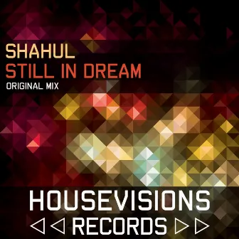 Still in Dream by Shahul