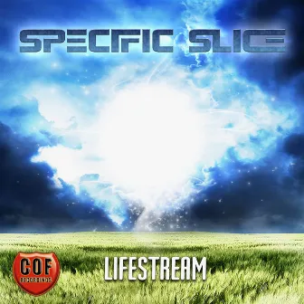 Lifestream by Specific Slice