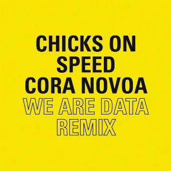 We Are Data by Chicks On Speed