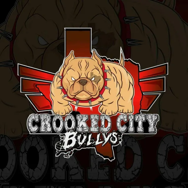 Crooked City Bullys