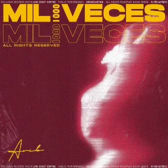 Mil Veces by Unknown Artist