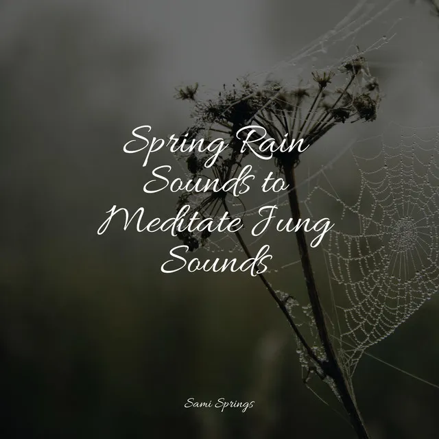 Spring Rain Sounds to Meditate Jung Sounds