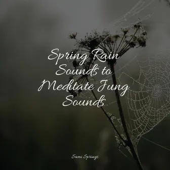 Spring Rain Sounds to Meditate Jung Sounds by Relaxing Nature Sounds Collection