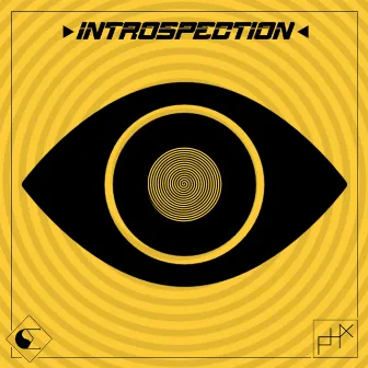 Introspection by PHX