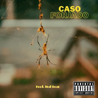 Caso Forjado by I. Cris