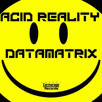 Acid Reality by Datamatrix