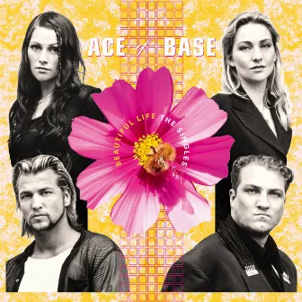 Beautiful Life - The Singles Box by Ace of Base