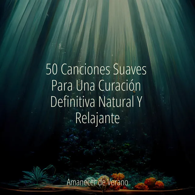 50 Canciones Suaves Para Una Curación Definitiva Natural Y Relajante