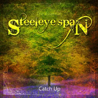 The Essential Steeleye Span: Catch Up by Steeleye Span