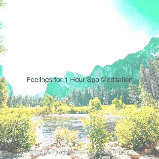 Feelings for 1 Hour Spa Meditation