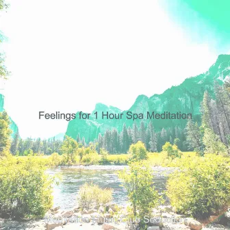 Feelings for 1 Hour Spa Meditation by Meditation Music Club Seduction