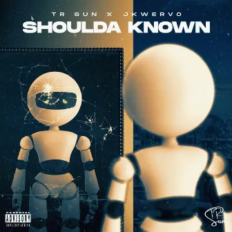 shoulda known by TR Sun