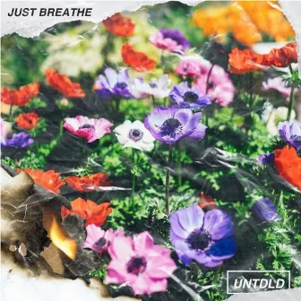 Just Breathe by Untidld