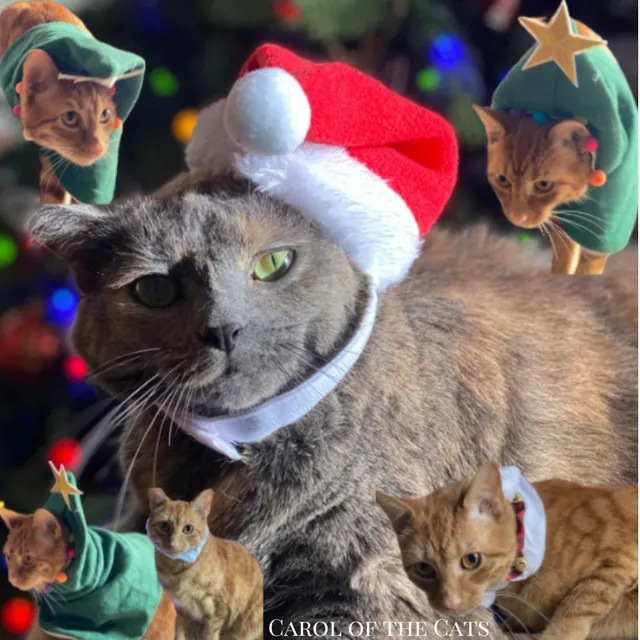 Carol of the Cats