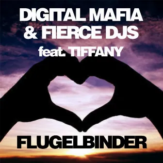 Flugelbinder by Fierce DJs