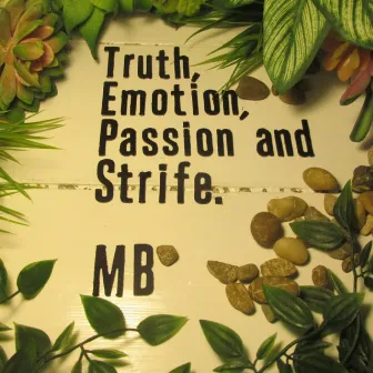 Truth, Emotion, Passion and Strife by MB Just Another Artist