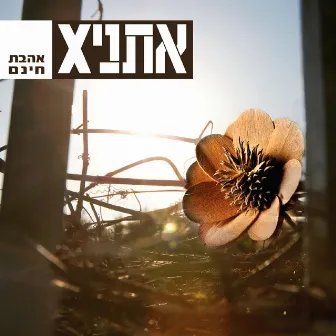 אהבת חינם by Ethnix