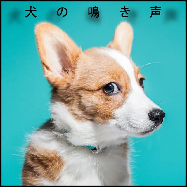 犬の吠え声 Pt. 1