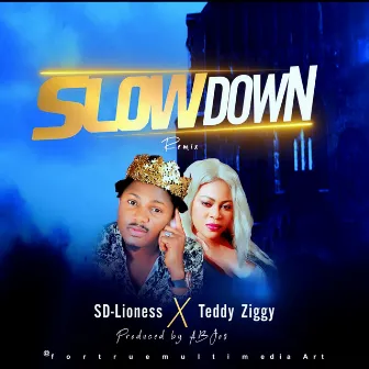 SLOW DOWN (Remix) by Unknown Artist