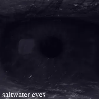 Saltwater Eyes by Petravita